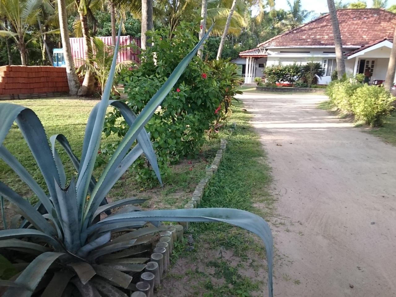 Sun And Surf Rest Hotel Ahangama Eksteriør billede